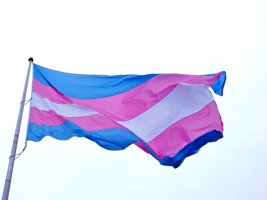 Bandera Transexualidad