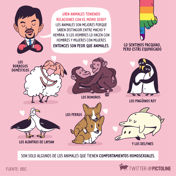 Pacquiao animales