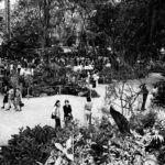 Jard&iacute;n Bot&aacute;nico Medell&iacute;n