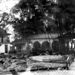 Jard&iacute;n Bot&aacute;nico Medell&iacute;n