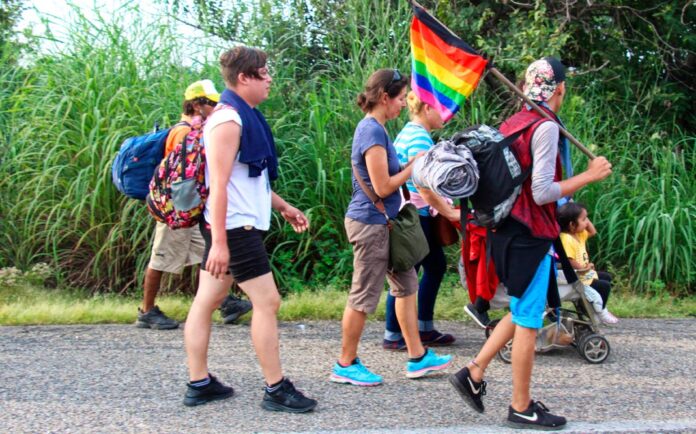 homofobia