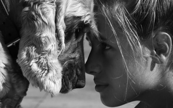 Politica Publica Bienestar Animal