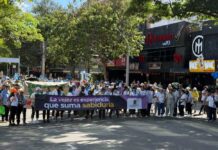 Caminata Mayor 2026: Medellín celebra a las personas mayores este domingo 23 de agosto Personas mayores participan en una caminata comunitaria por las calles de El Poblado, Medellín.