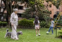 3.300 perros también necesitan barrio: el cuidado entra al debate sobre el futuro de Patio Bonito Persona mayor pasea con su perro mientras niños juegan en una zona verde residencial, imagen que representa el cuidado y la convivencia en Patio Bonito.