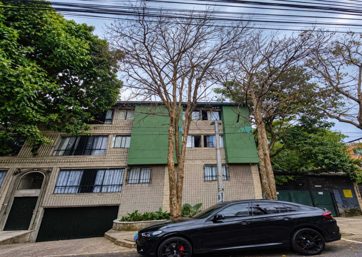 Dos &aacute;rboles de pomorroso completamente secos frente al Edificio Los Pirineos, en el barrio Manila de Medell&iacute;n.