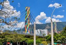 La 4 Sur: del proyecto vial a un espacio en disputa Puente de la 4 Sur en Medellín, con pilares multicolores y cables sobre una zona arbolada, con montañas y cielo azul al fondo.